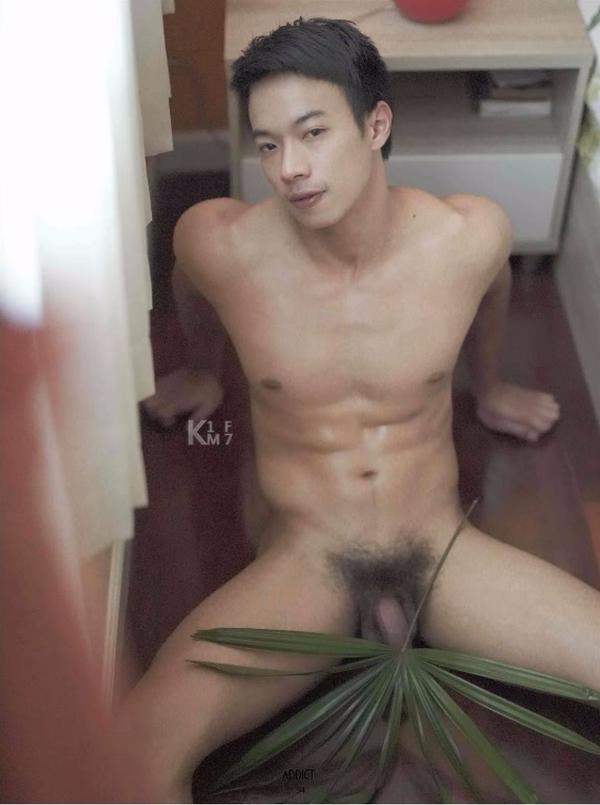 Addict--The-Premium-Issue